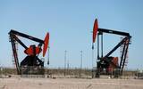 OPEC+对油市前景偏乐观 纽约国际原油价续升
